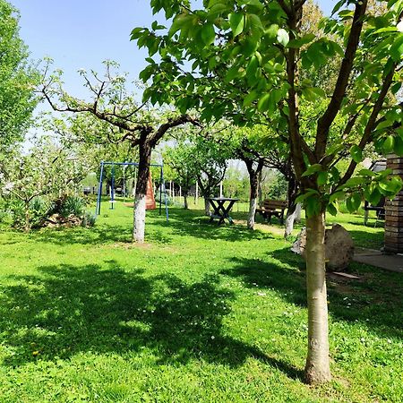 Kuca Za Odmor Mirni Kutak Vukovar Bagian luar foto