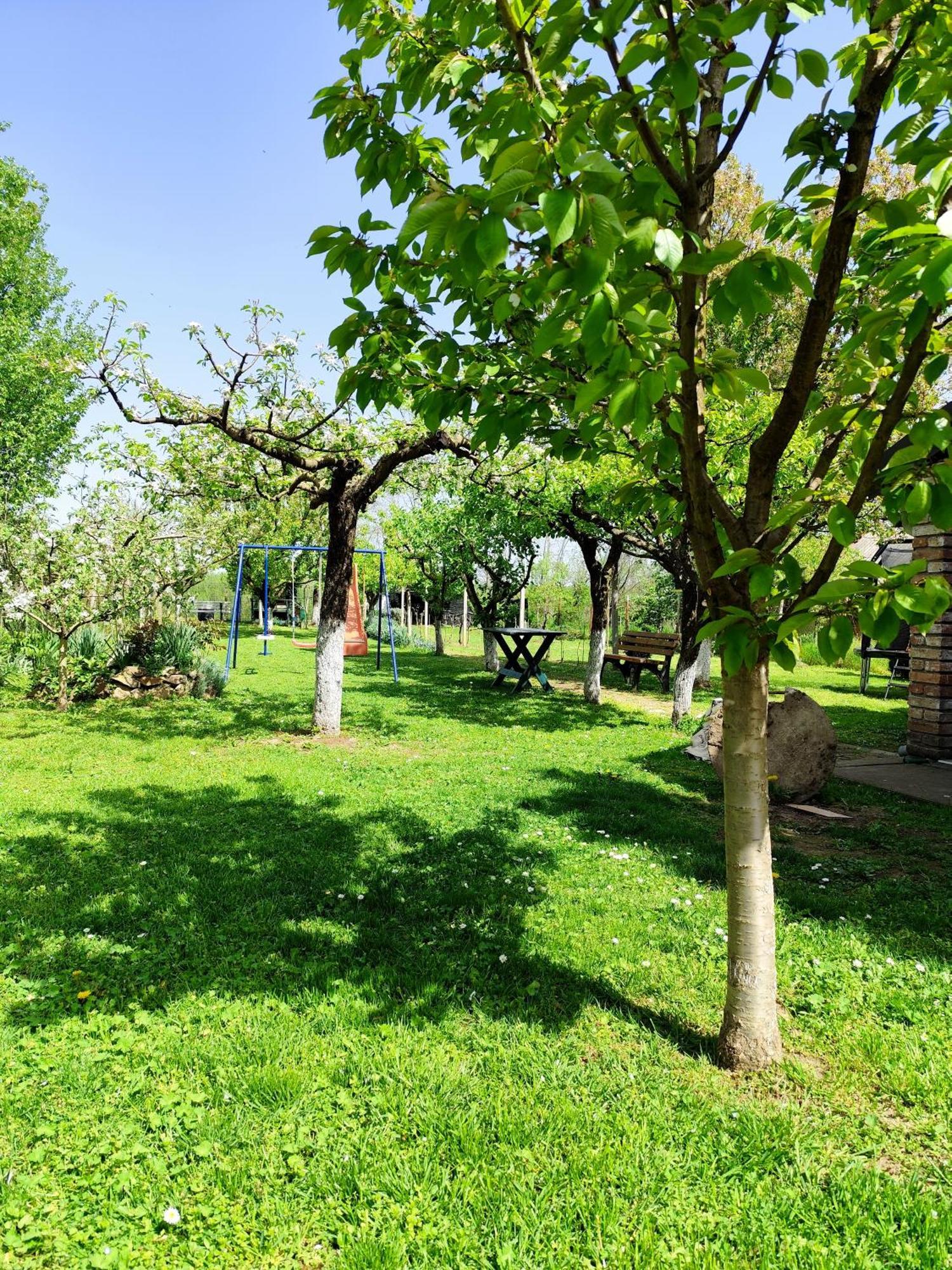 Kuca Za Odmor Mirni Kutak Vukovar Bagian luar foto