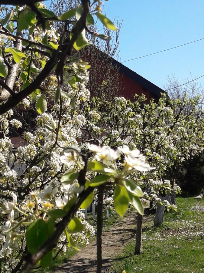 Kuca Za Odmor Mirni Kutak Vukovar Bagian luar foto